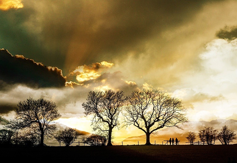  - Beauty of Light 1: Landscape
