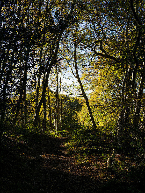  - New Photographic Walks 2017