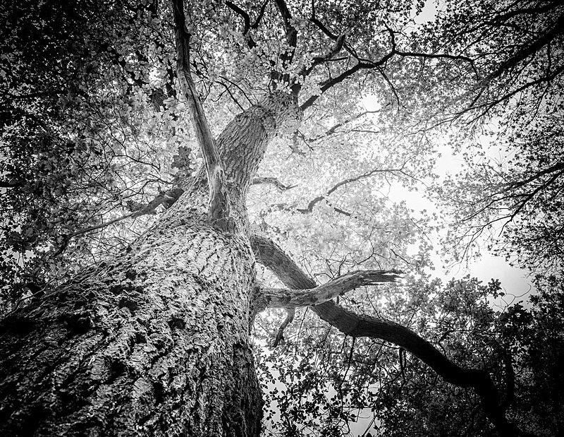  - Photographic Walks in North Yorkshire 2018
