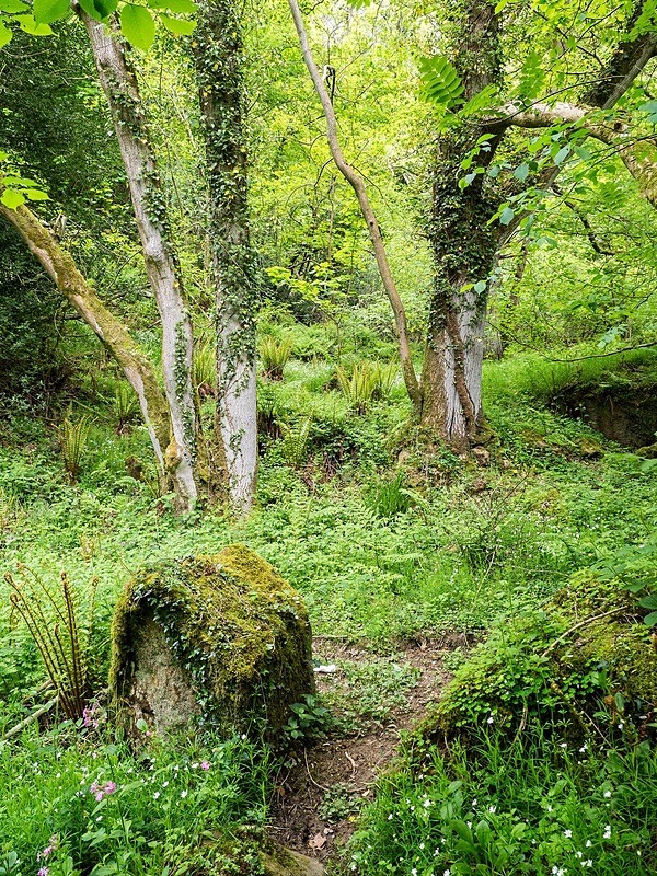  - Photographic Walks in North Yorkshire 2018