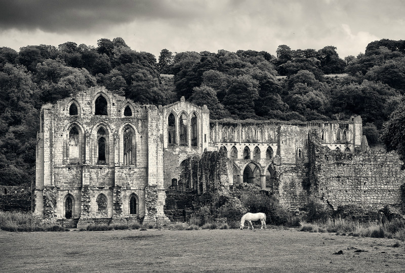 White Horse - Photographic Walks in North Yorkshire