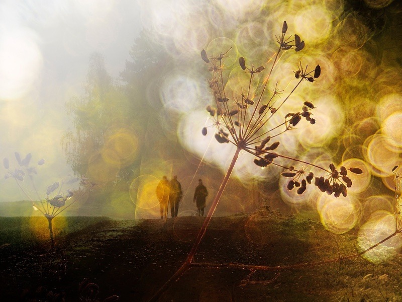  - Seasonal Change 3: Autumn Hanami