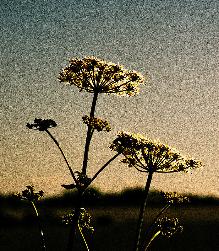  - Photographic Walks in North Yorkshire