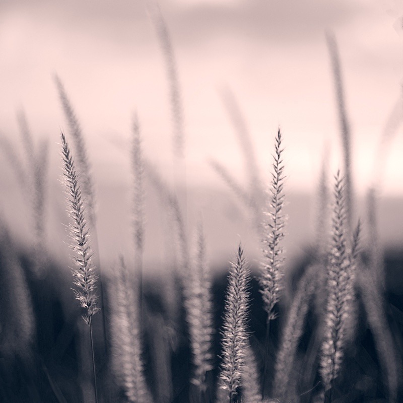  - Quiet - Fine Art Meditative Photography