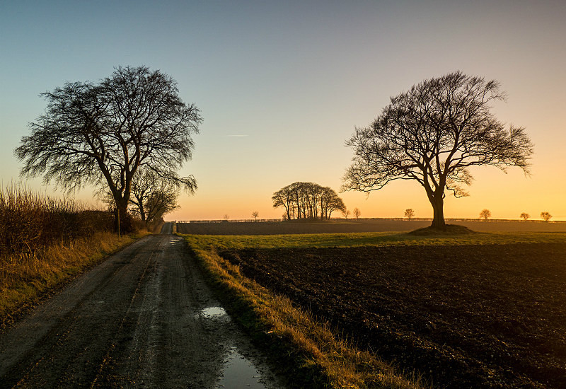  - New Photographic Walks 2017