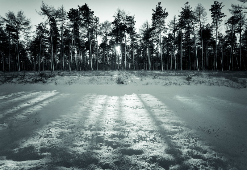  - Photographic Walks in North Yorkshire