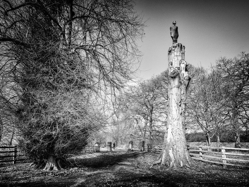  - New Photographic Walks 2017