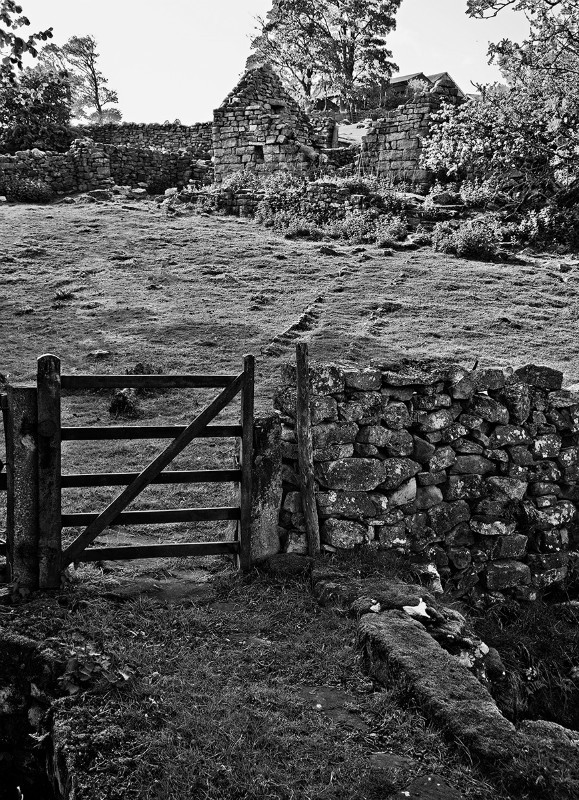  - Photographic Walks in North Yorkshire