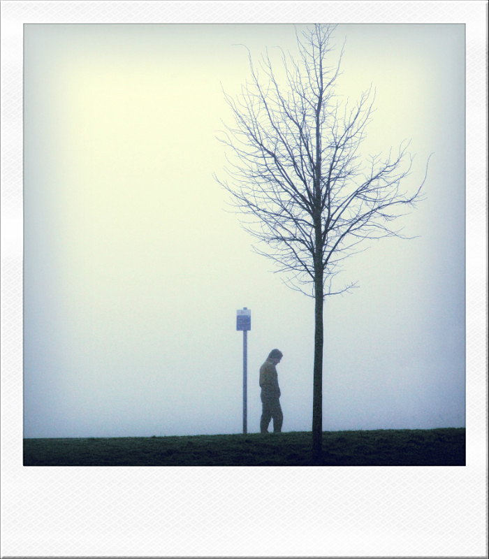  - Polaroid Dreams