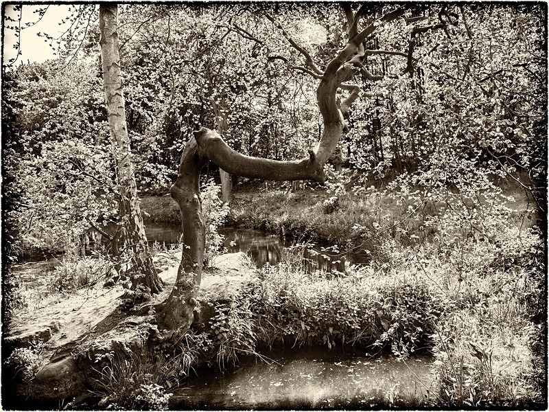  - Photographic Walks in North Yorkshire 2018