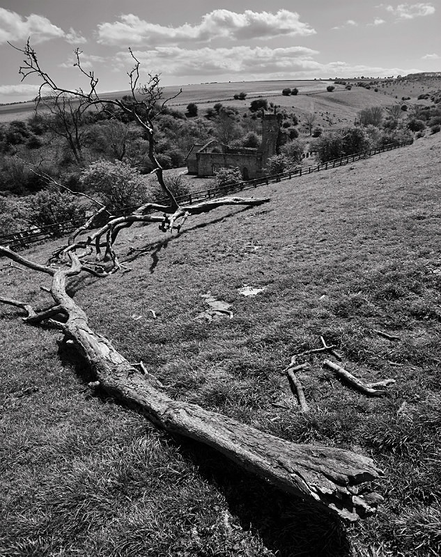  - Photographic Walks in North Yorkshire