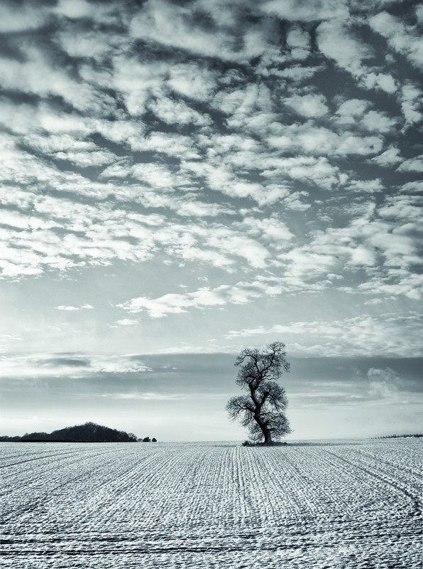  - Photographic Walks in North Yorkshire