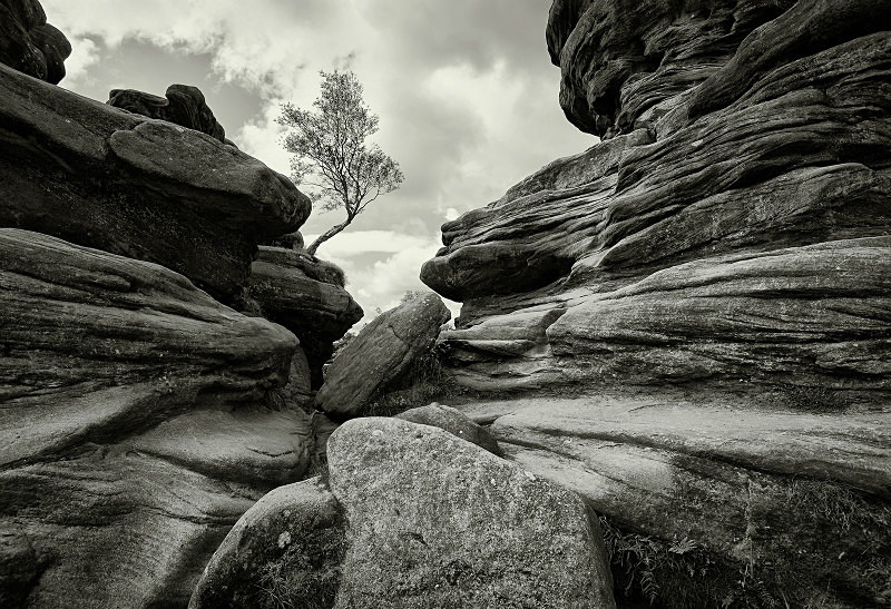  - Photographic Walks in North Yorkshire