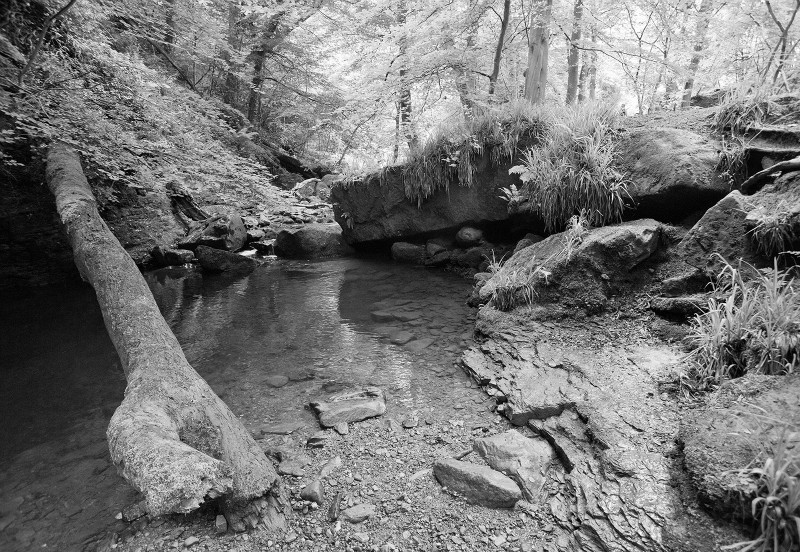  - Photographic Walks in North Yorkshire