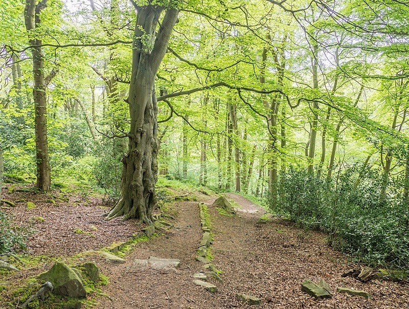  - Photographic Walks in North Yorkshire 2018