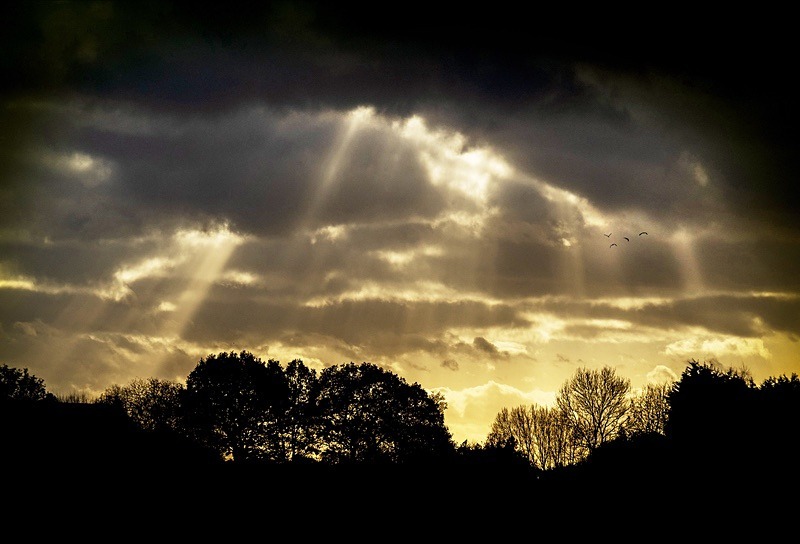  - Beauty of Light 1: Landscape