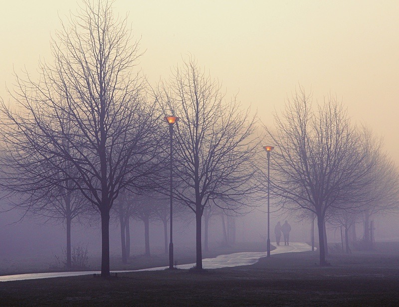  - Beauty of Light 5: Fall of Dusk