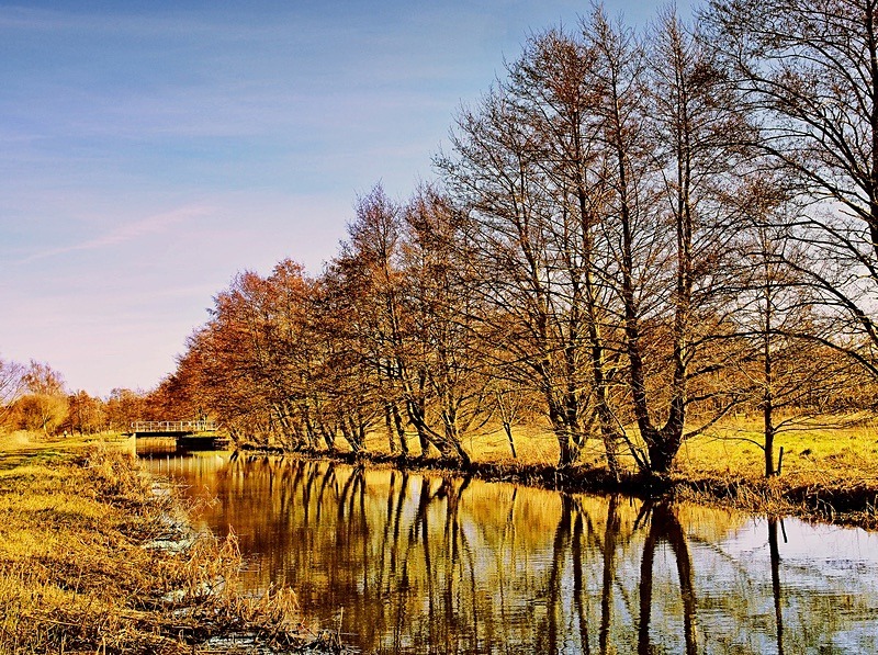  - Seasonal Change 3: Autumn Hanami