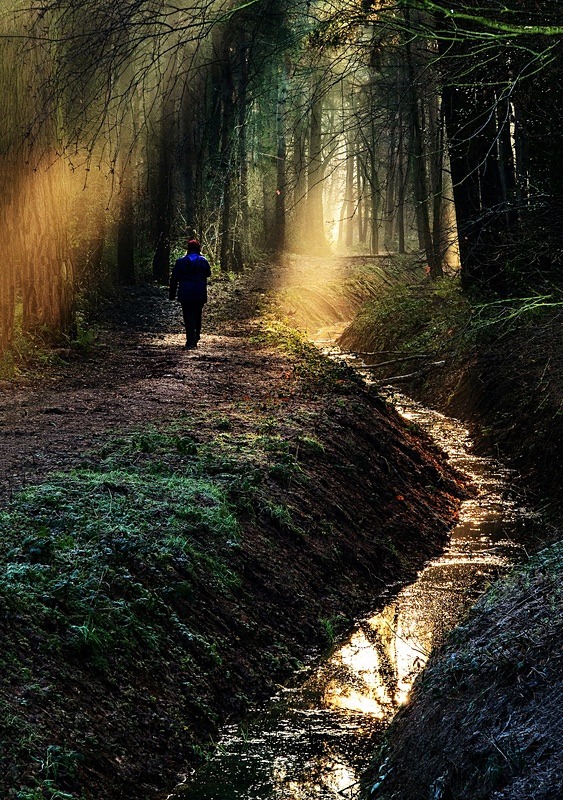  - Beauty of Light 1: Landscape