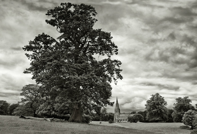  - Photographic Walks in North Yorkshire