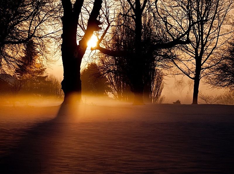  - Beauty of Light 5: Fall of Dusk