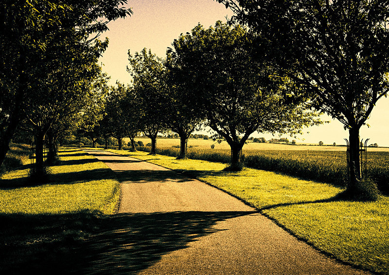  - Photographic Walks in North Yorkshire