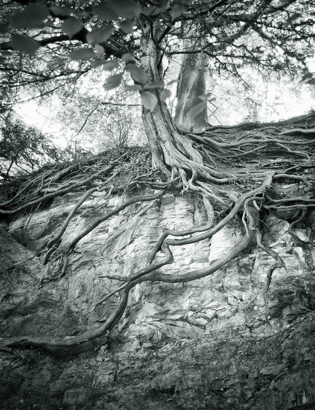  - Photographic Walks in North Yorkshire