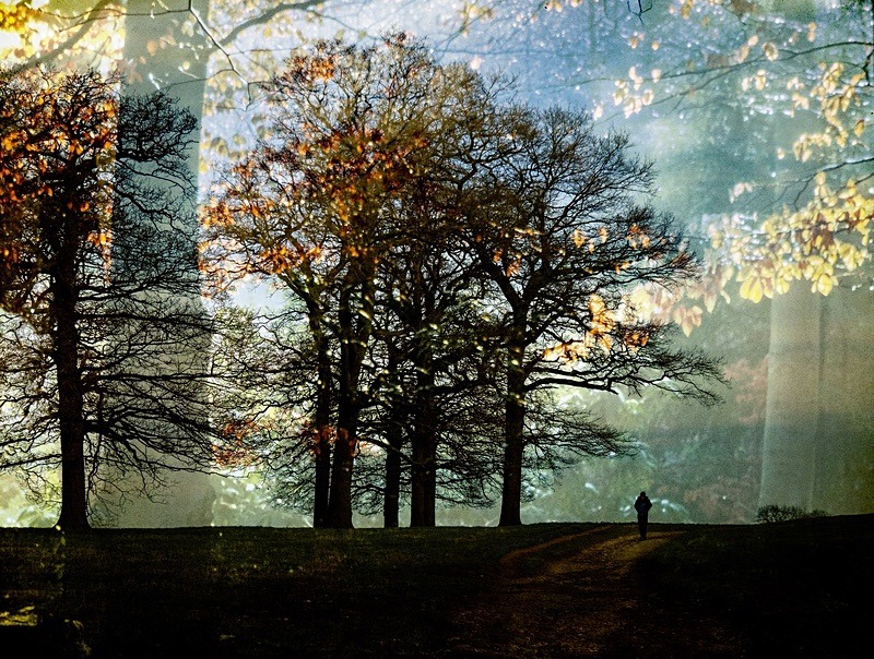  - Seasonal Change 3: Autumn Hanami