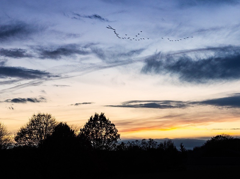  - Beauty of Light 5: Fall of Dusk