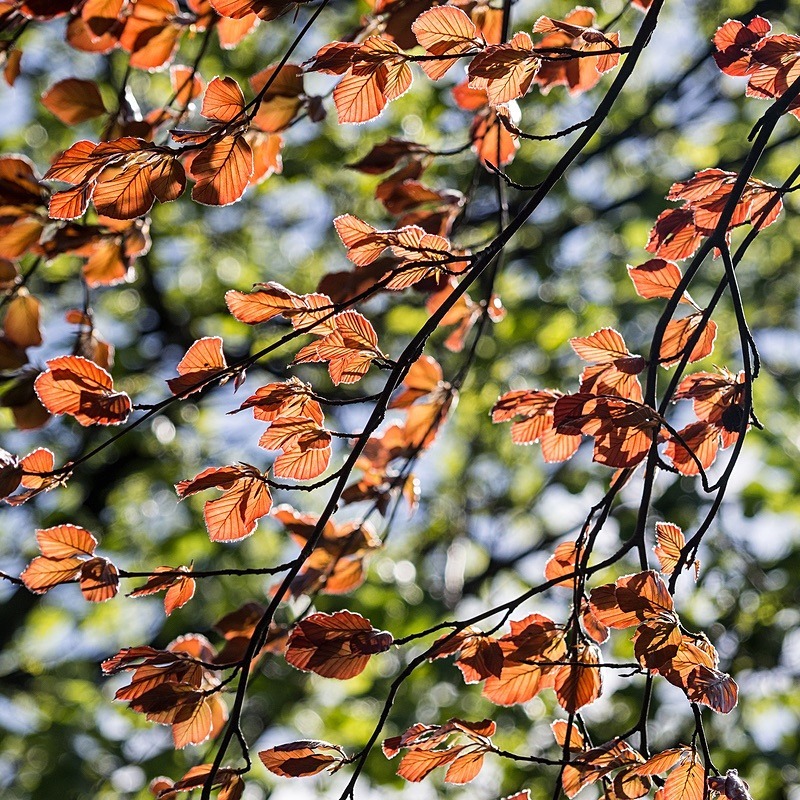  - Photographic Walks in North Yorkshire 2018
