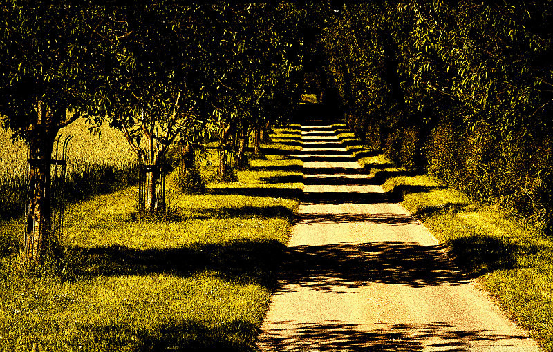  - Photographic Walks in North Yorkshire