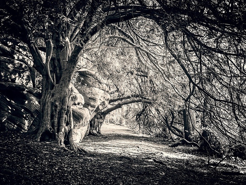  - Photographic Walks in North Yorkshire 2018