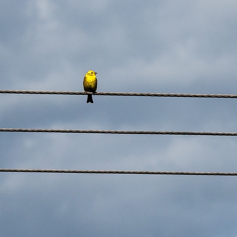  - Photographic Walks in North Yorkshire 2018