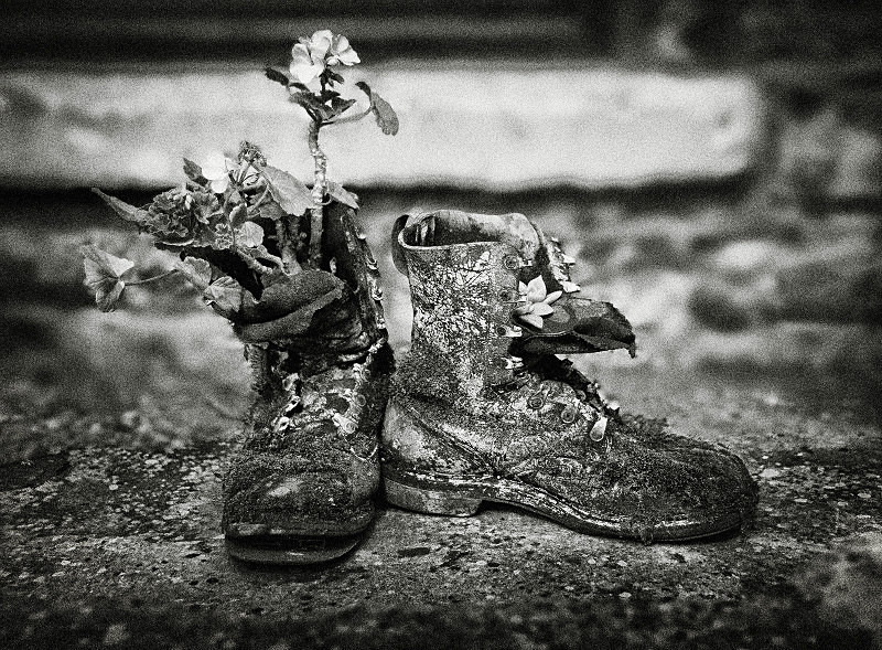  - Photographic Walks in North Yorkshire