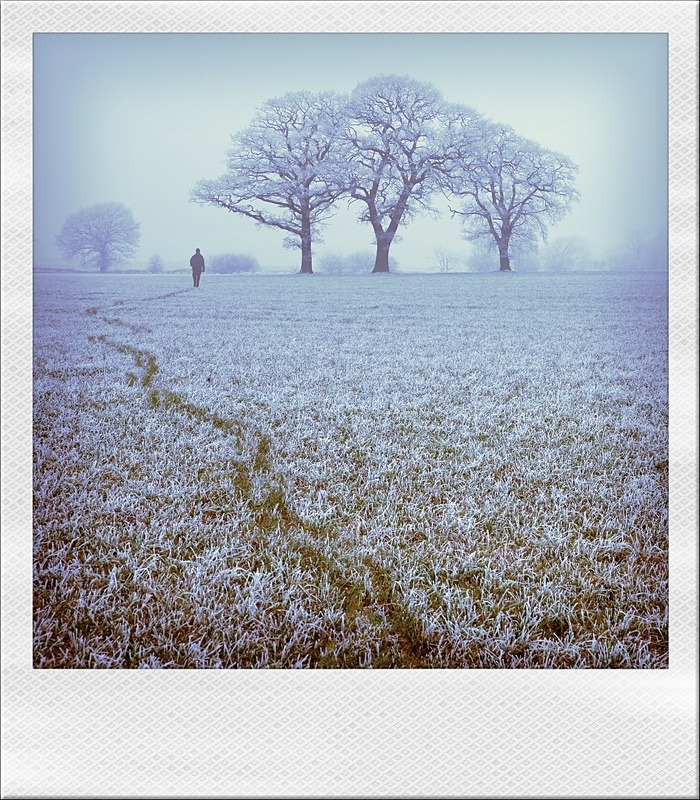  - Polaroid Dreams
