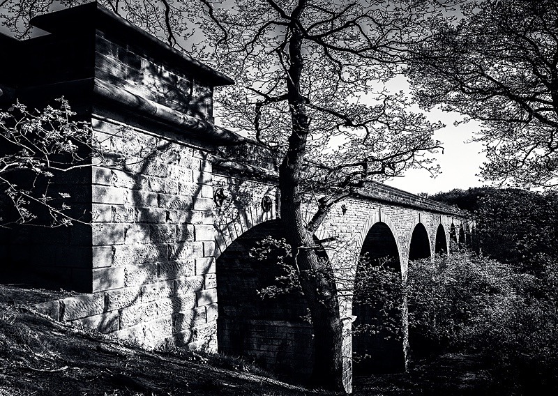  - Photographic Walks in North Yorkshire 2018