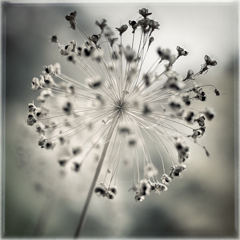  - Quiet - Fine Art Meditative Photography