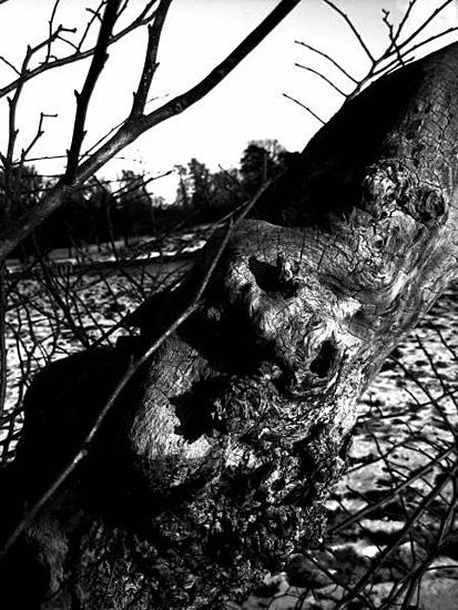  - Tore Ramstad