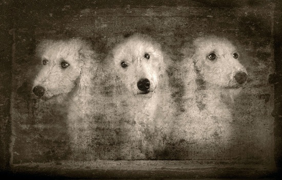 - Nina Reistad