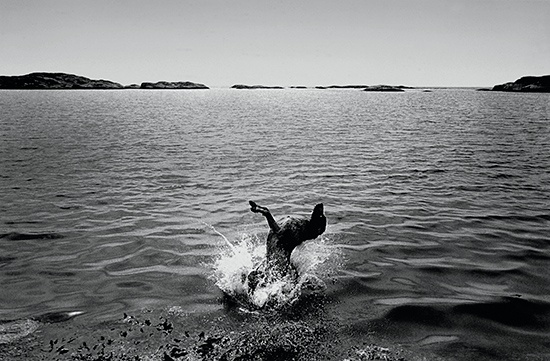  - Jim Bengston
