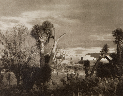  - Paul Strand