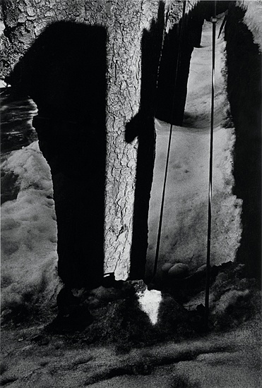  - Tom Sandberg