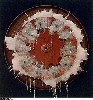 - Kjell Sten Tollefsen