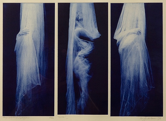 - Evy Andersen