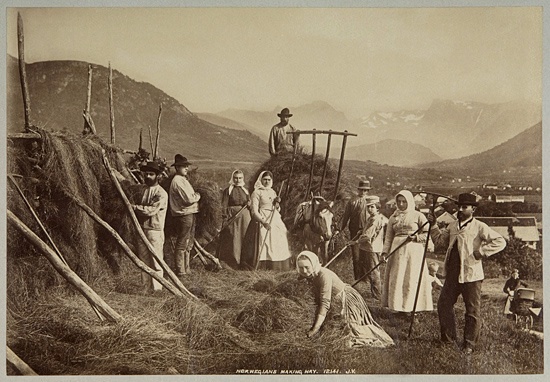 William D. Valentine - 19th Century