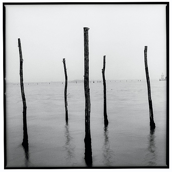 - Herdis Maria Siegert