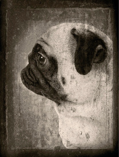 - Nina Reistad