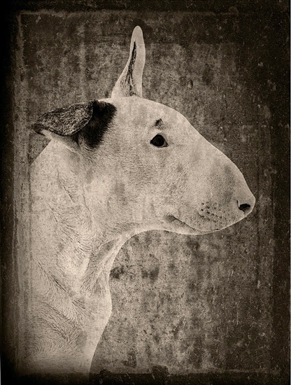  - Nina Reistad