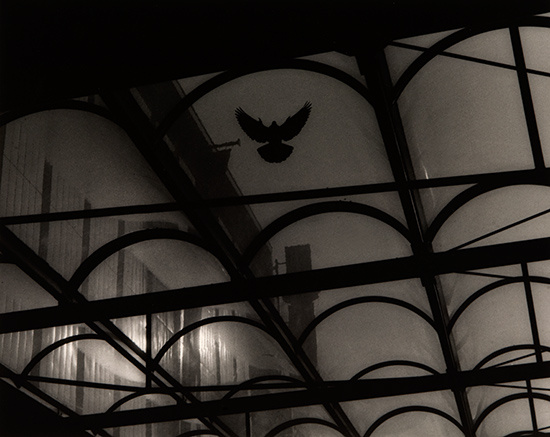 Kenneth Gustavsson - Archive