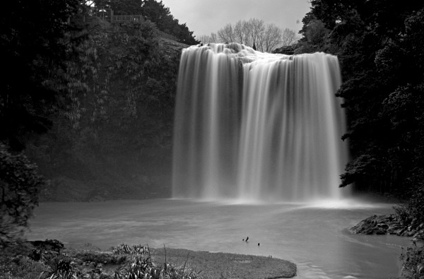 Whangarei falls - New Zealand North Island